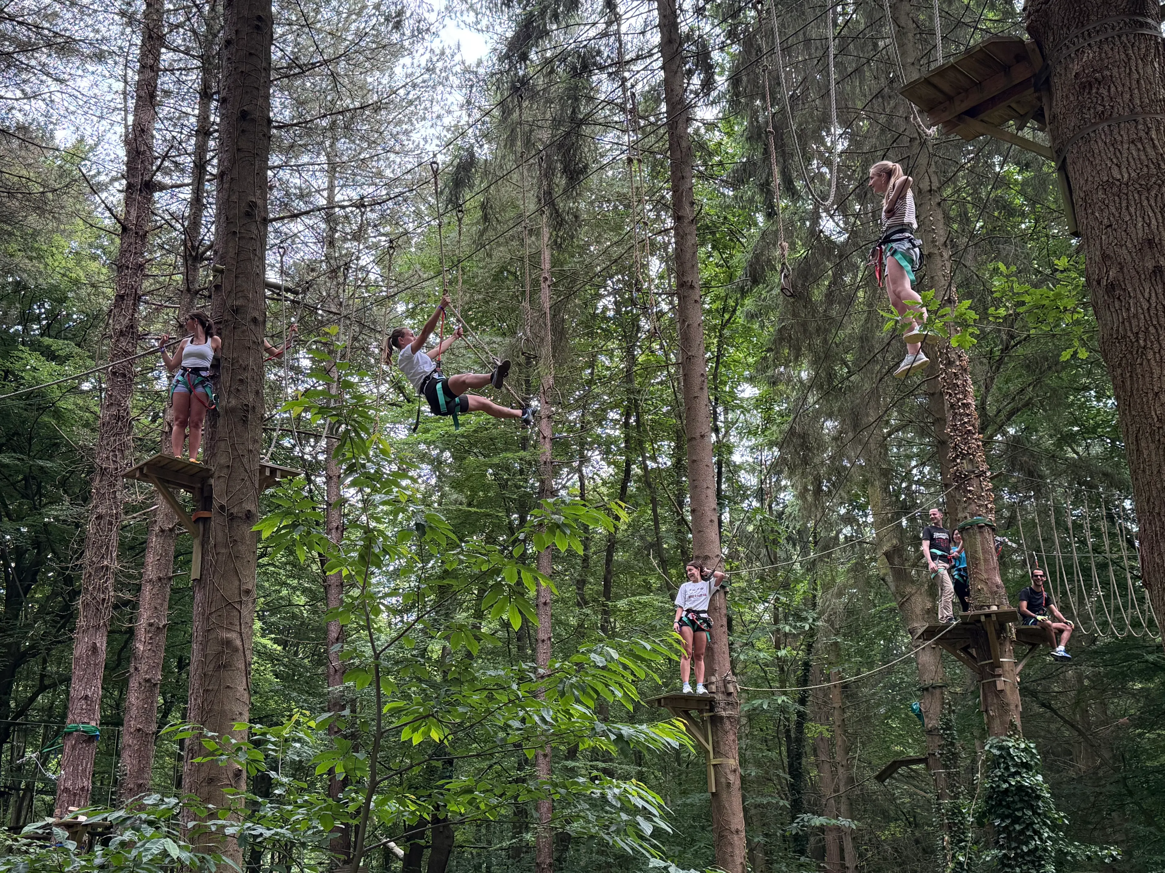 Accrobranche en pleine nature - SAINT-GATIEN-DES-BOIS (14)
