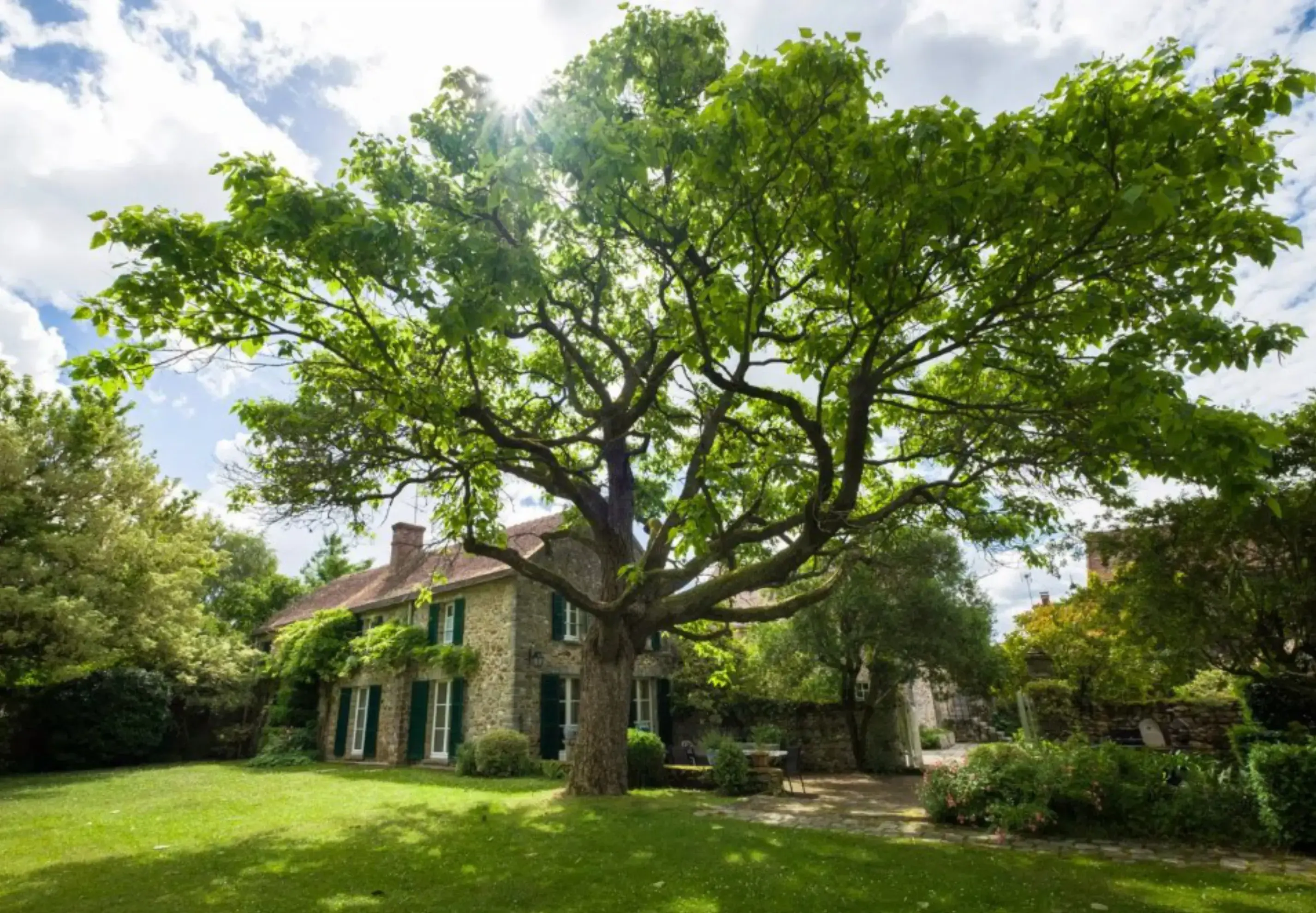 Domaine de la Marcotte - Saint-Martin-en-Bière (Seine-et-Marne)