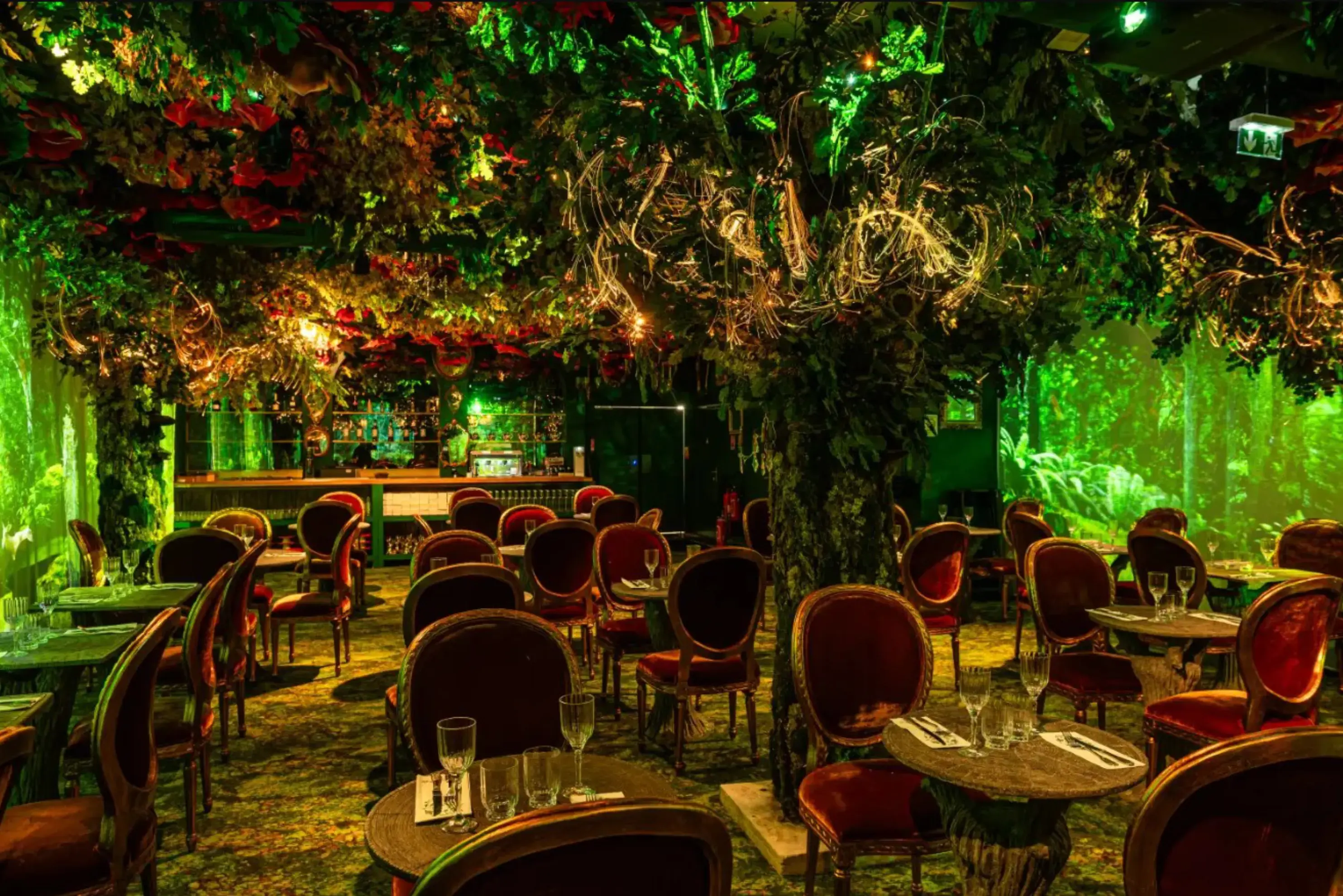 Magmatic Restaurant - Ephemera Lille - Lille (Nord)