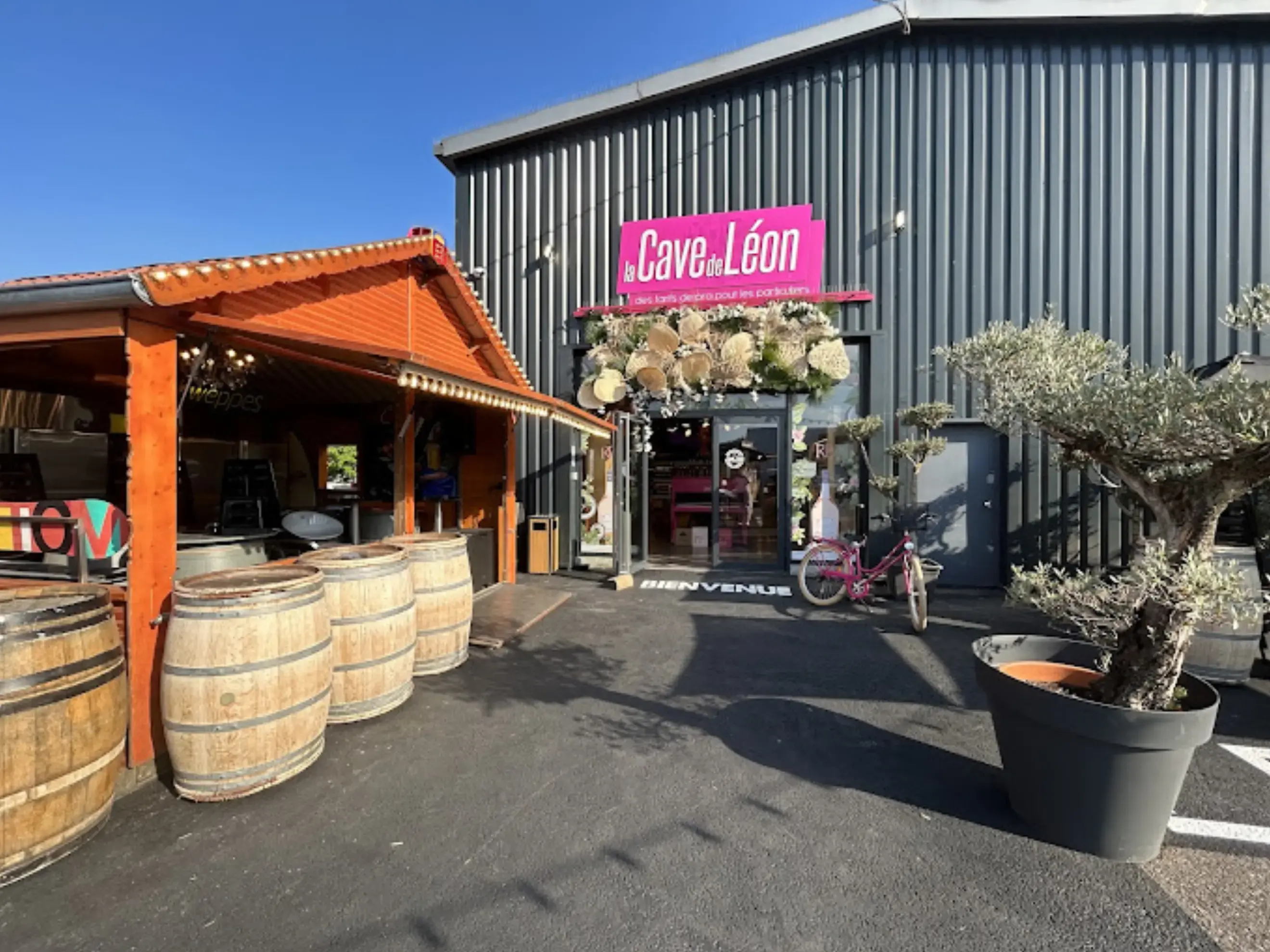 La Cave de Léon - Nancy (Meurthe-et-Moselle)