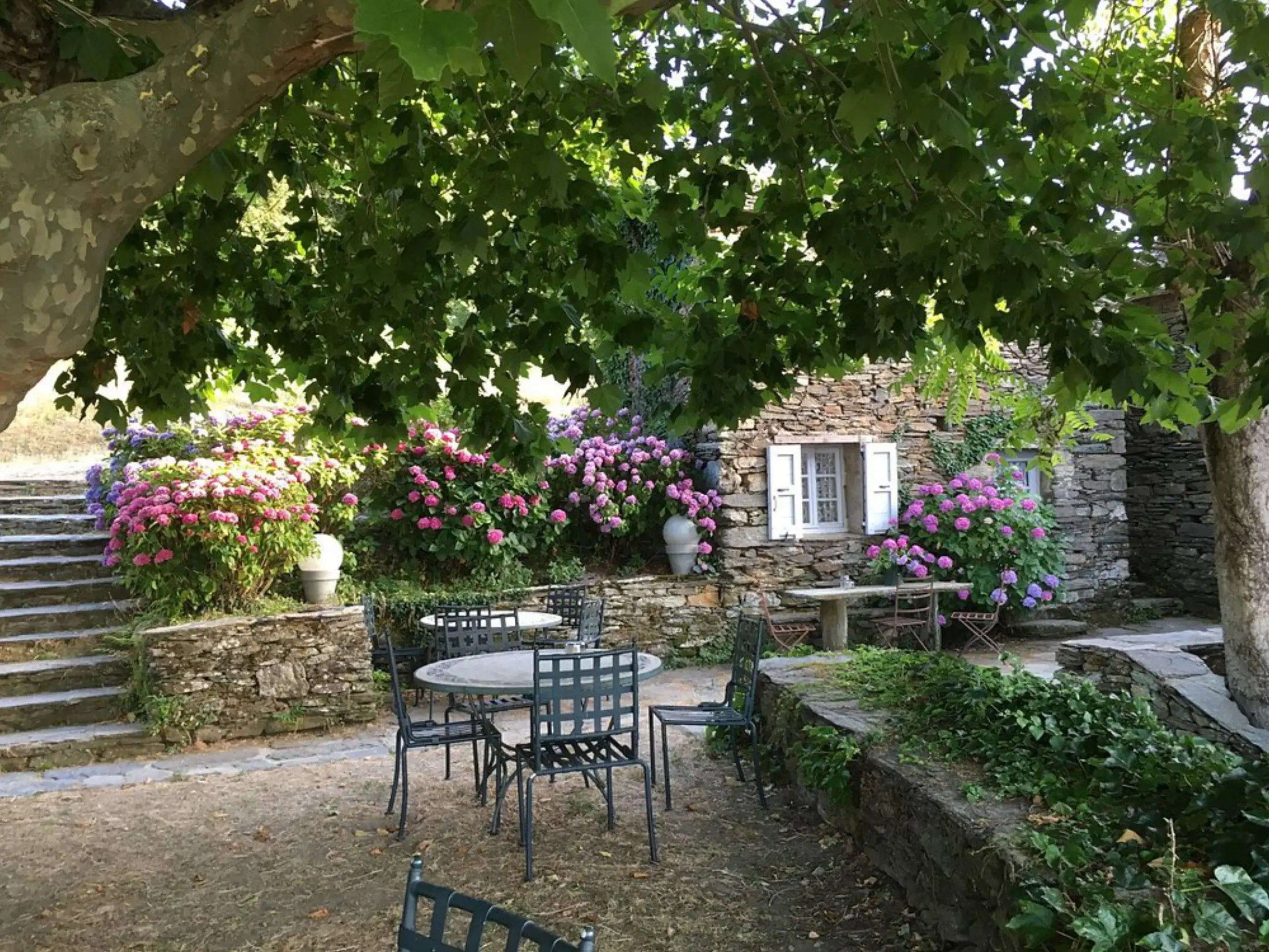 Ferme de Campo Di Monte - Murato (Corse 2A-2B)