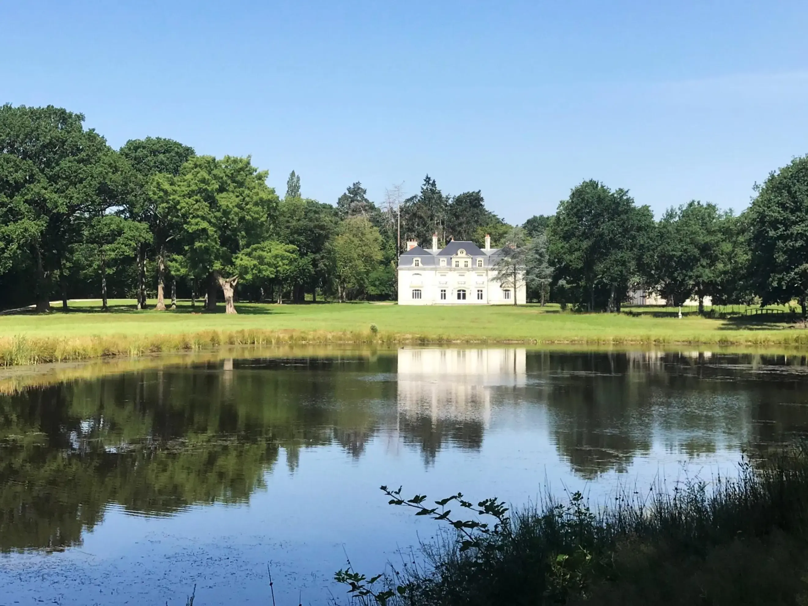 Les Hayes en Sologne - FONTAINES-EN-SOLOGNE (Loir-et-Cher)