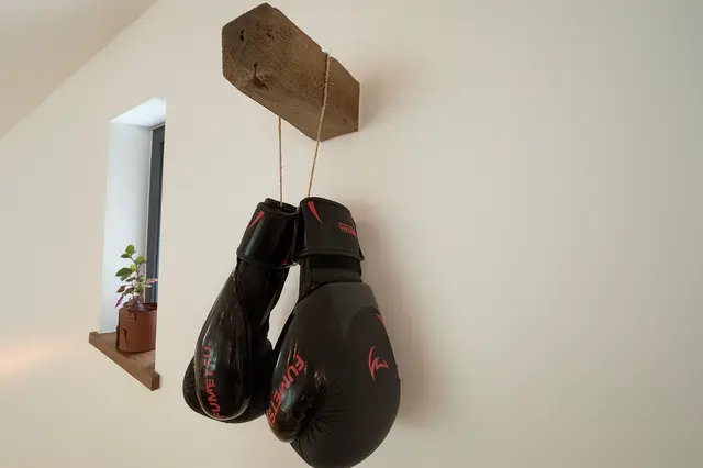 Boxe adapté au management - VERDELOT (77)