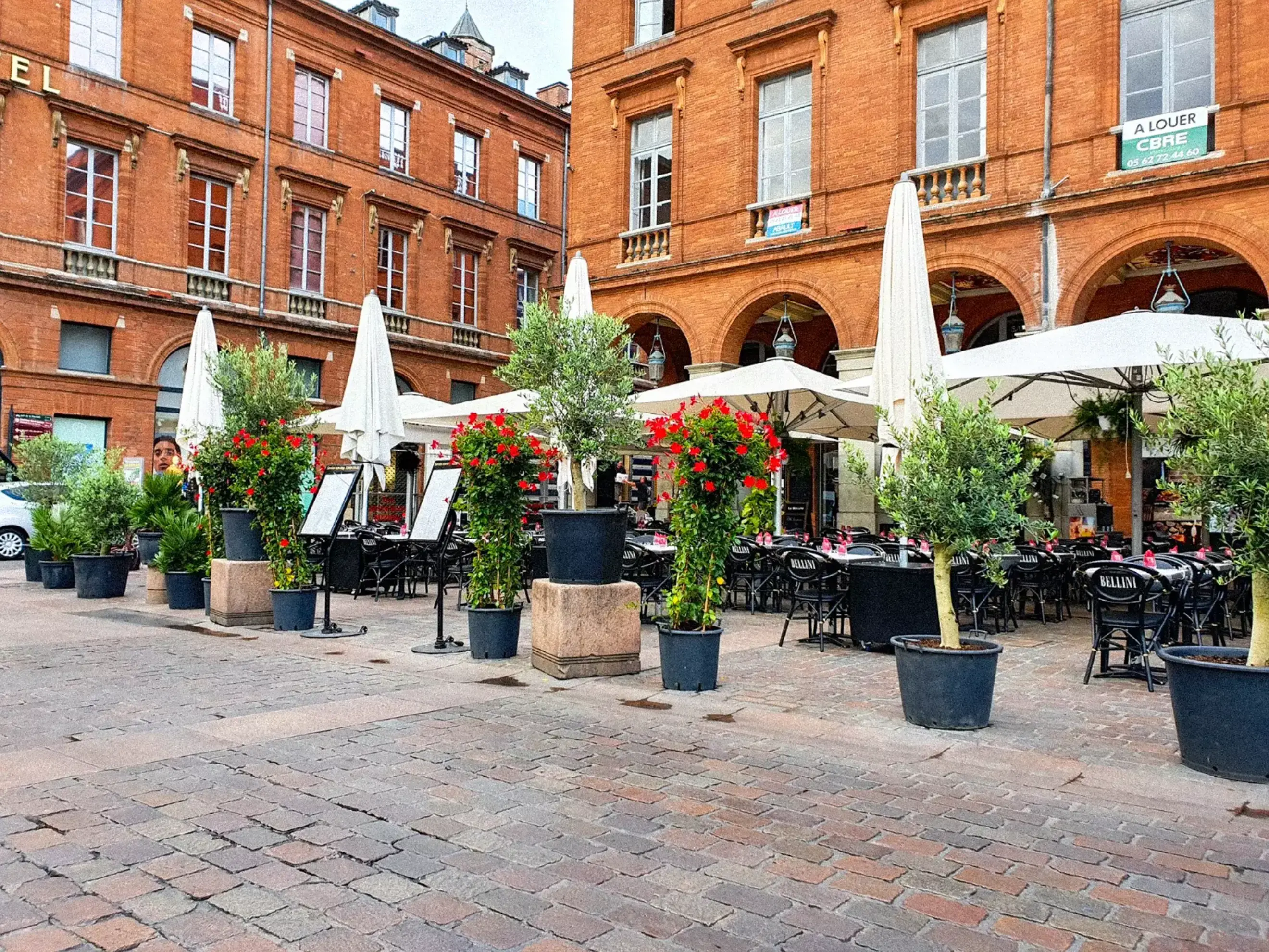Brasserie Italienne Le Bellini - Toulouse (Haute-Garonne)