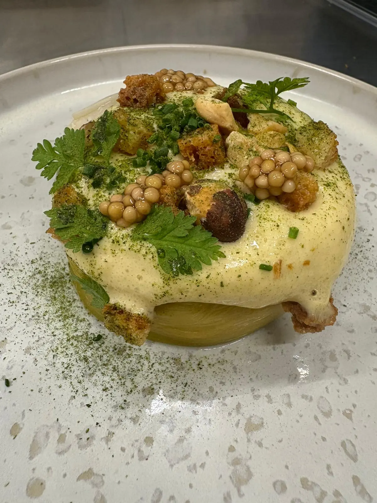 Carpe Diem - Lyon (Rhône)