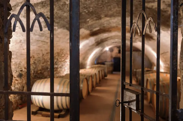Atelier assemblage des vins - BRIGNOLES (83)