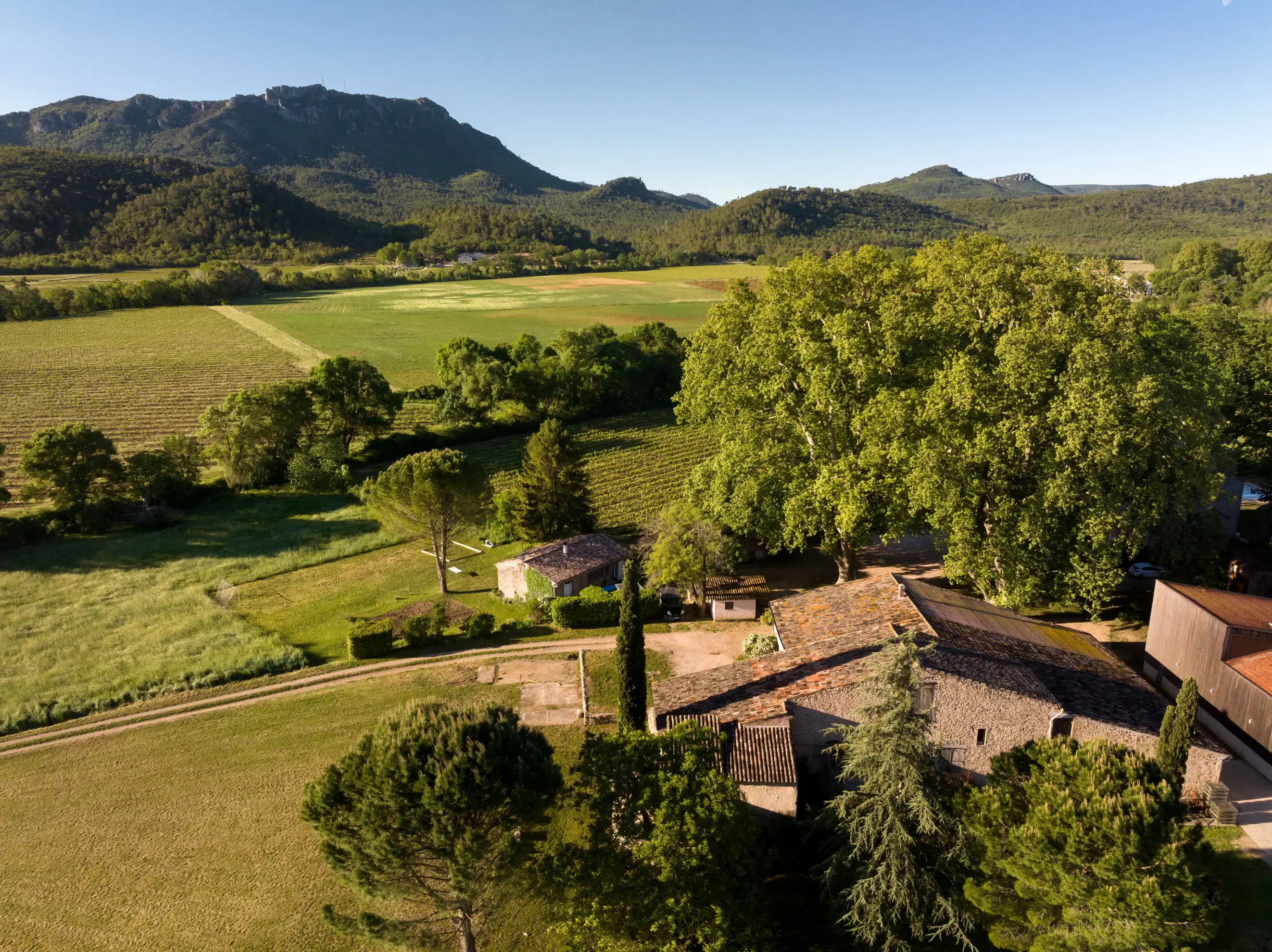 Domaine La Gayolle - BRIGNOLES (Var)