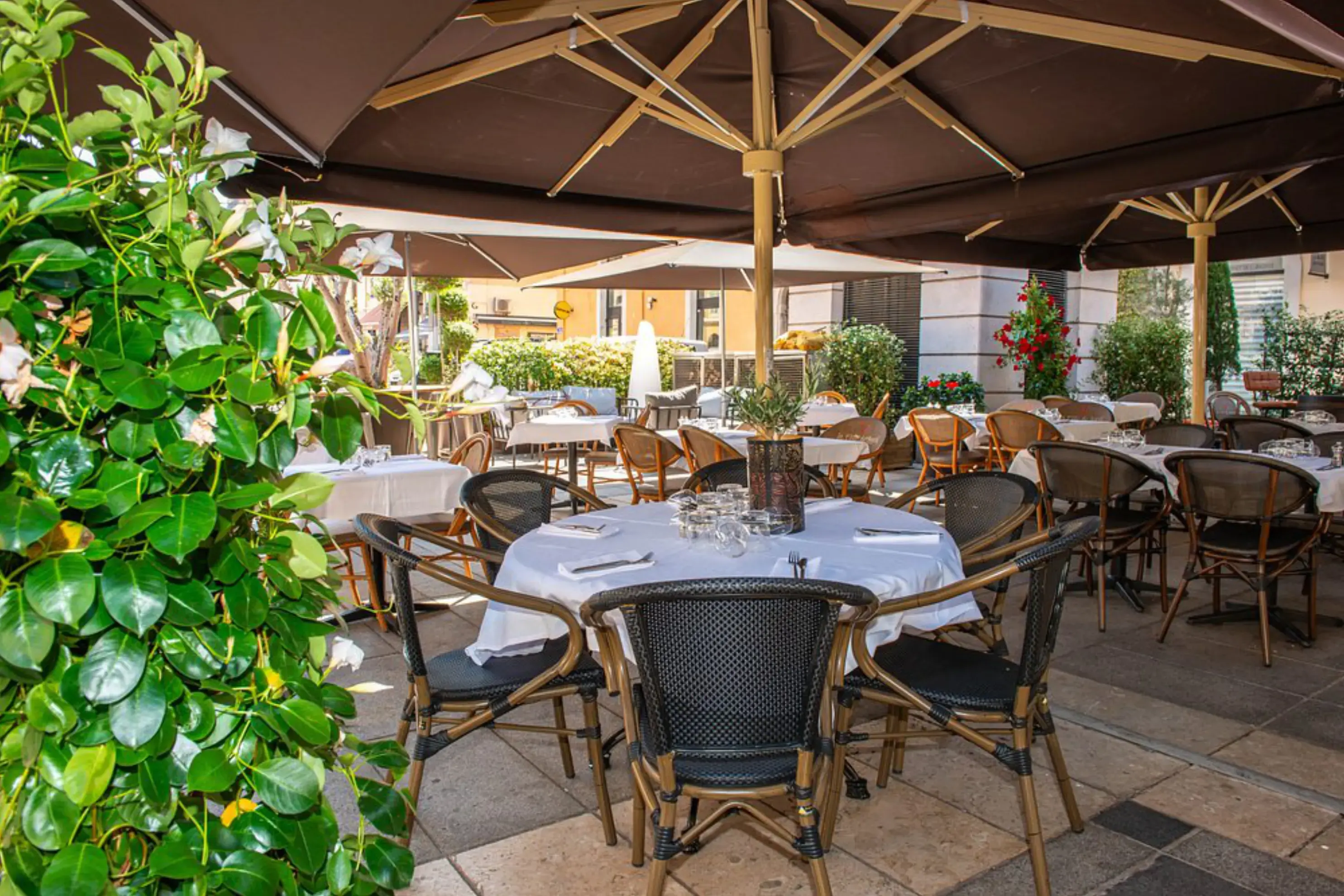 La Côte de Boeuf - Marseille (Bouches-du-Rhône)