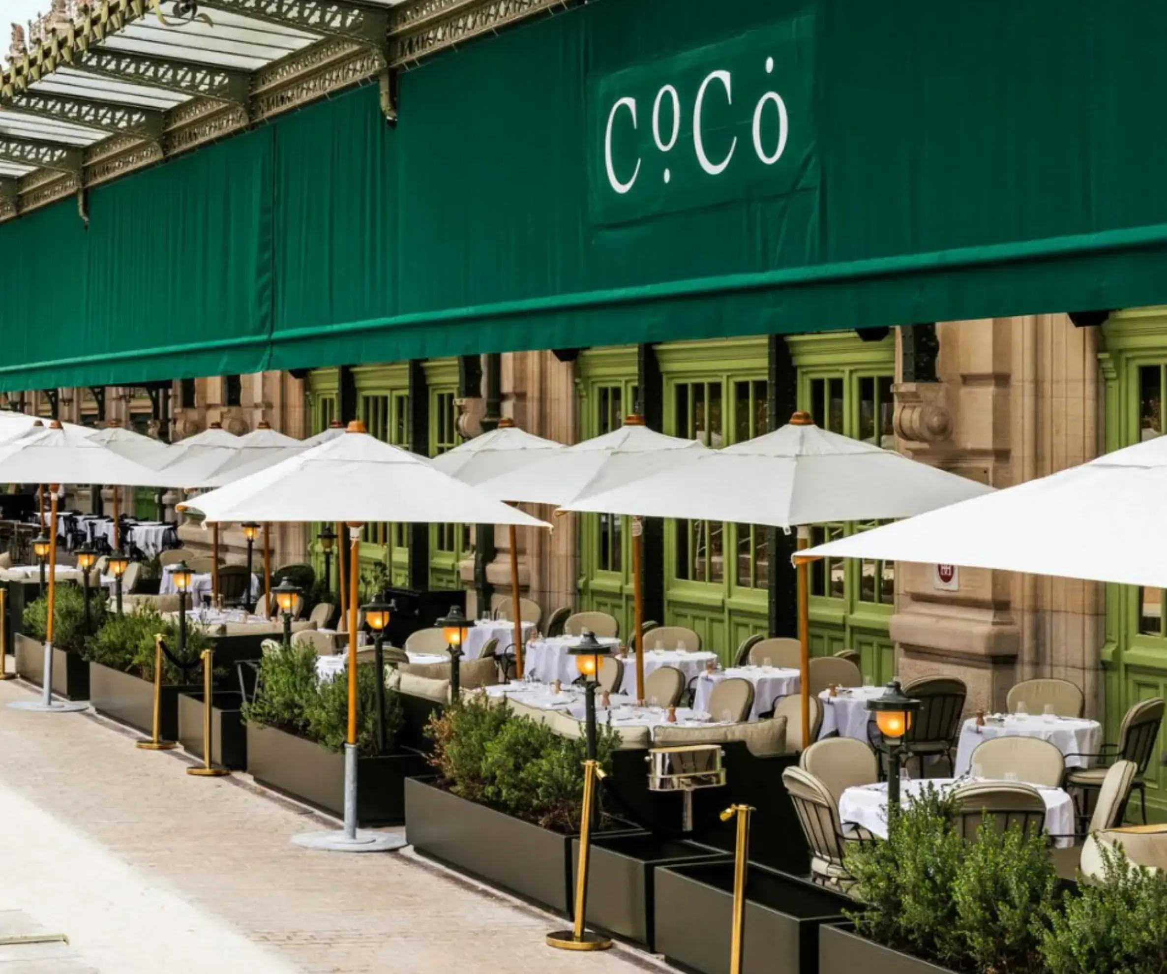 Beau Coco Lyon - Lyon (Rhône)