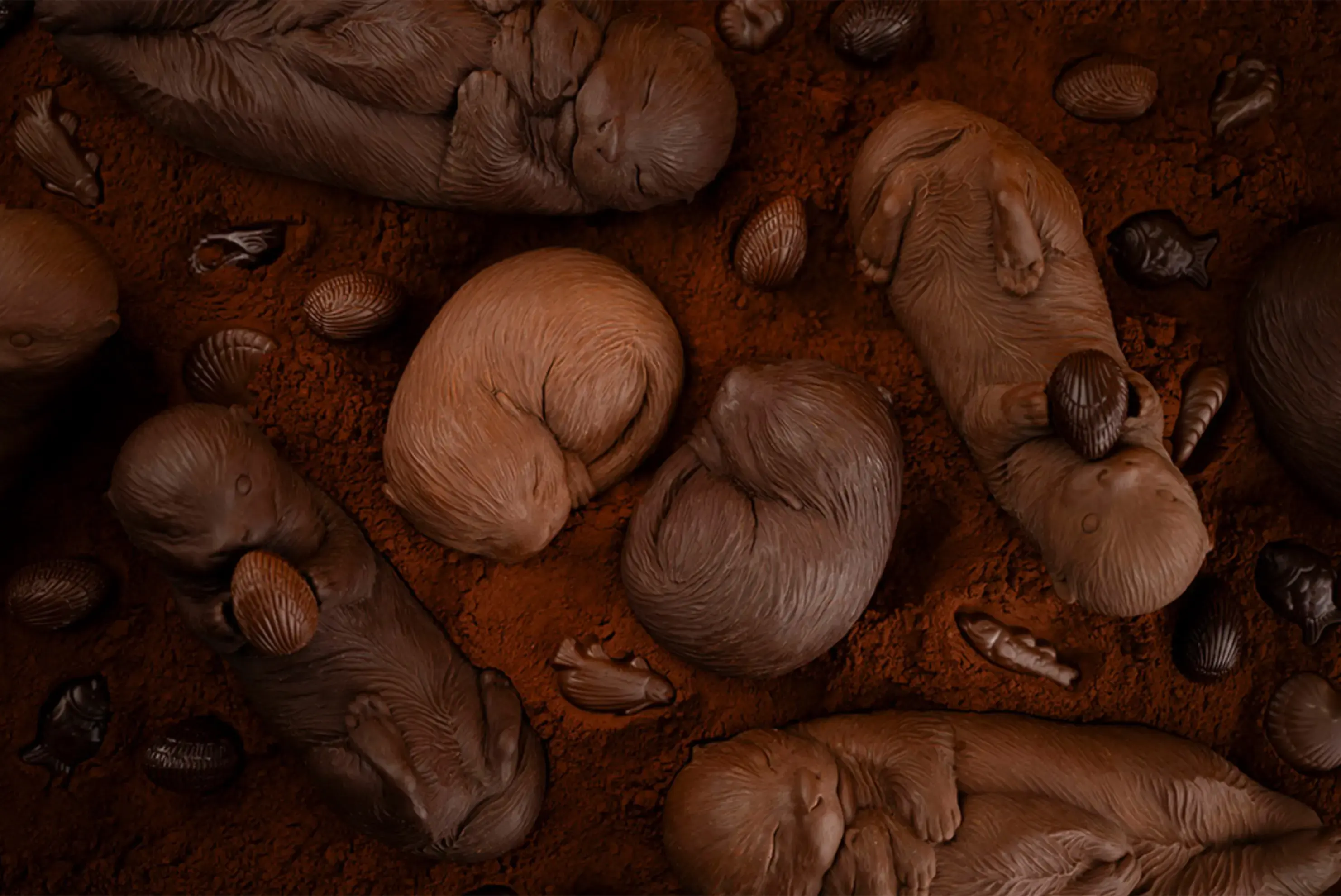 Chocolatier William Artigues - Paris (Paris)