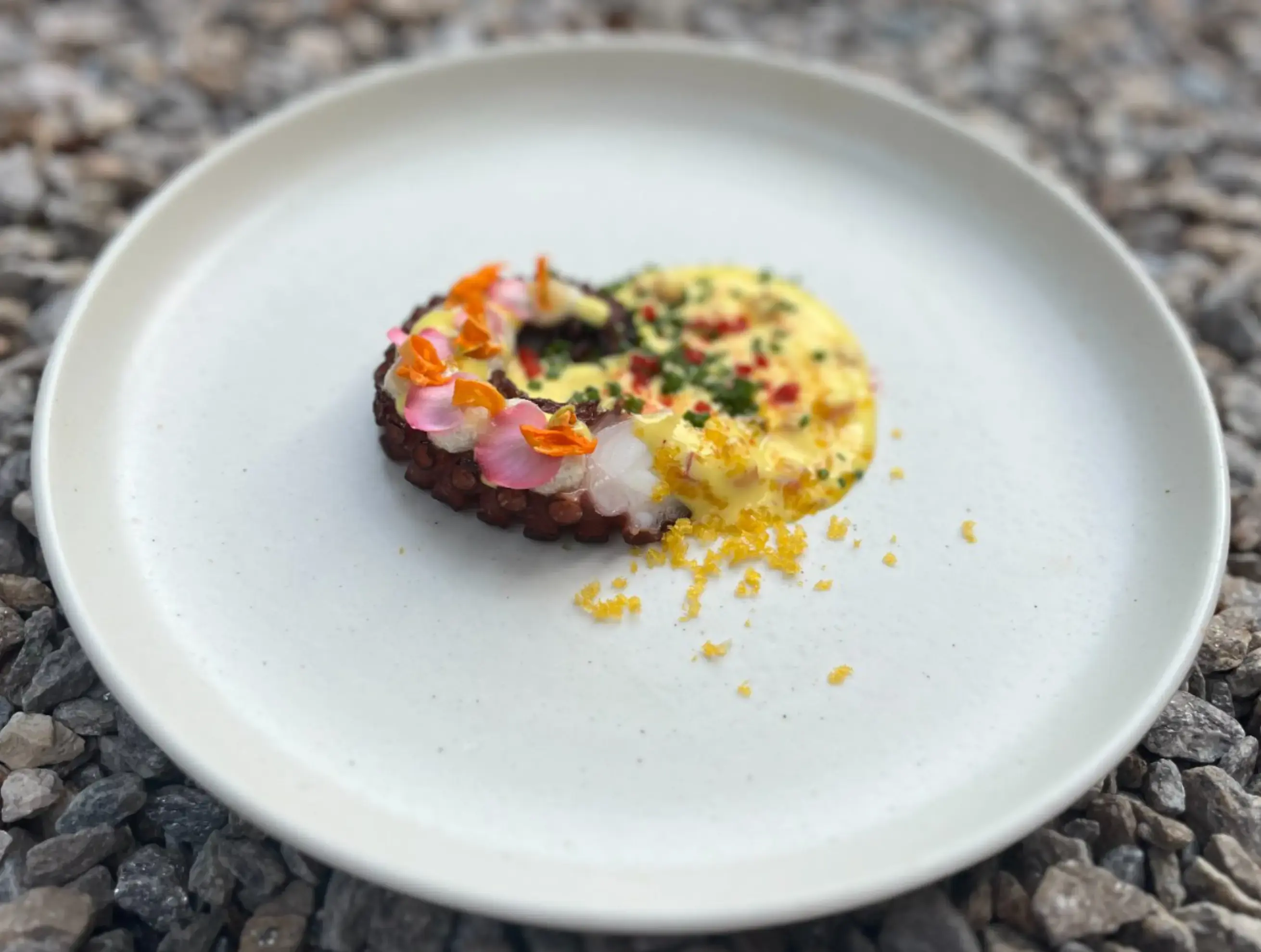 M Rencontre - Marseille (Bouches-du-Rhône)