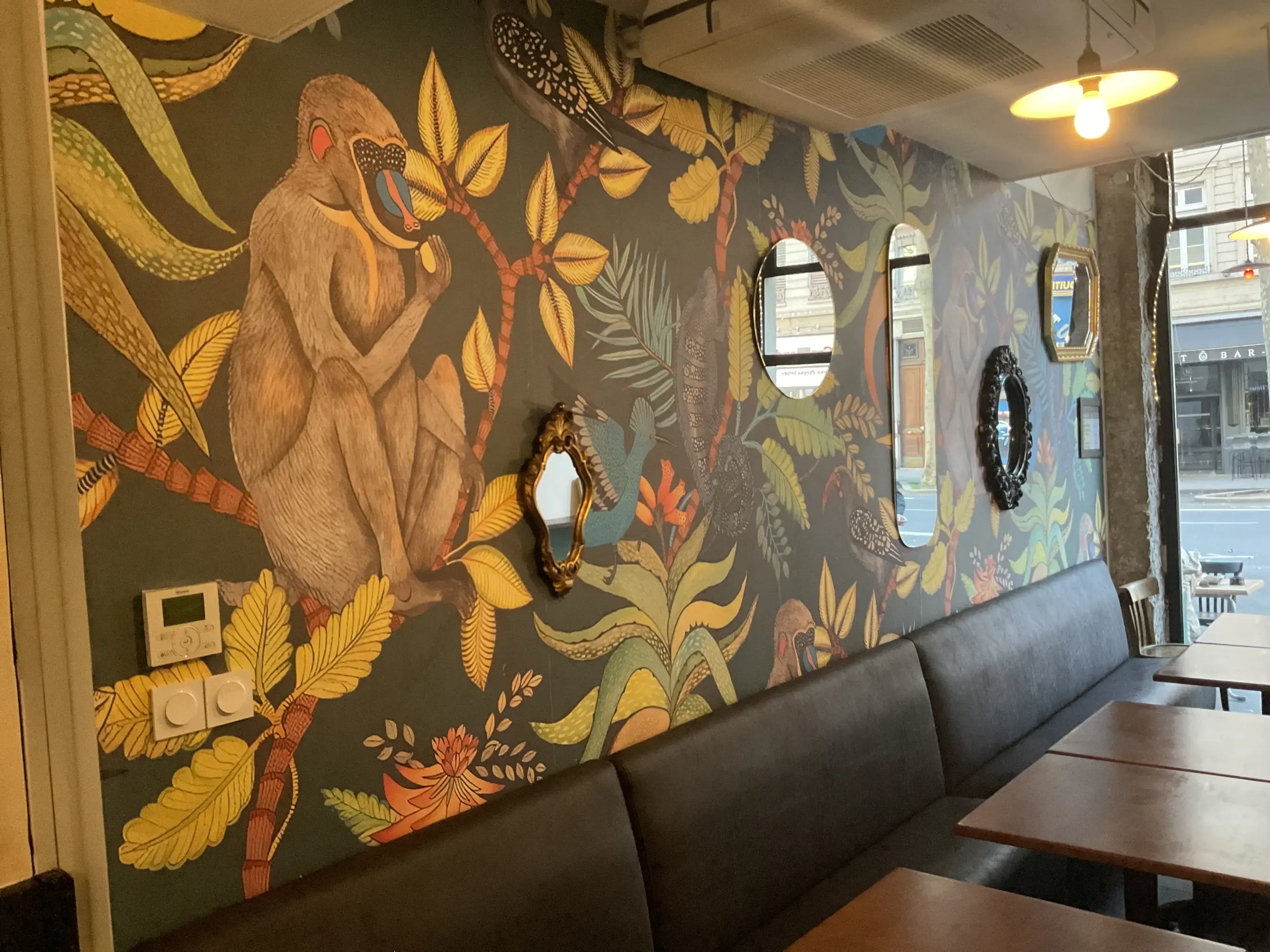 Le Polly - Lyon 6e arrondissement (null)