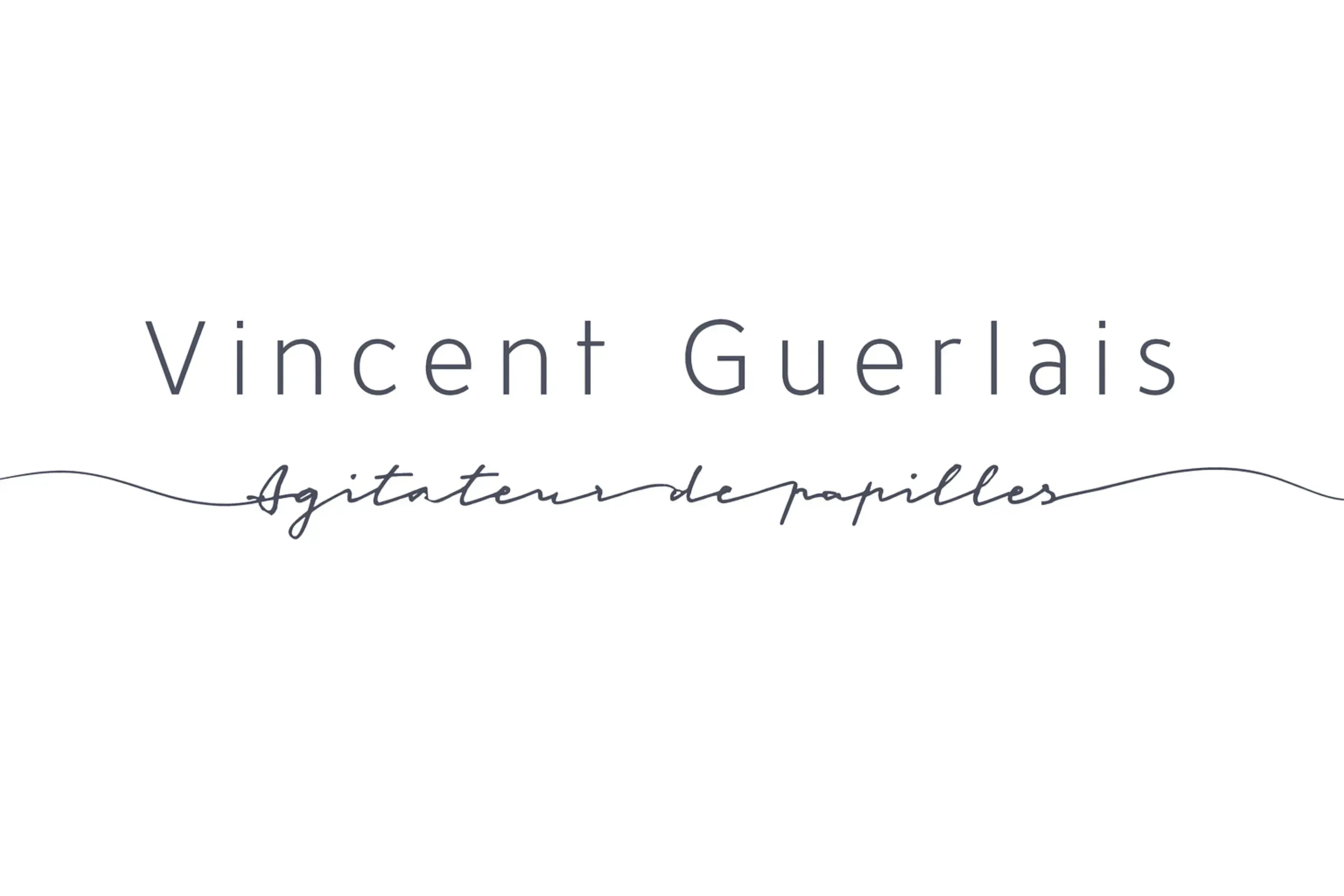 Vincent Guerlais - Nantes (Loire-Atlantique)