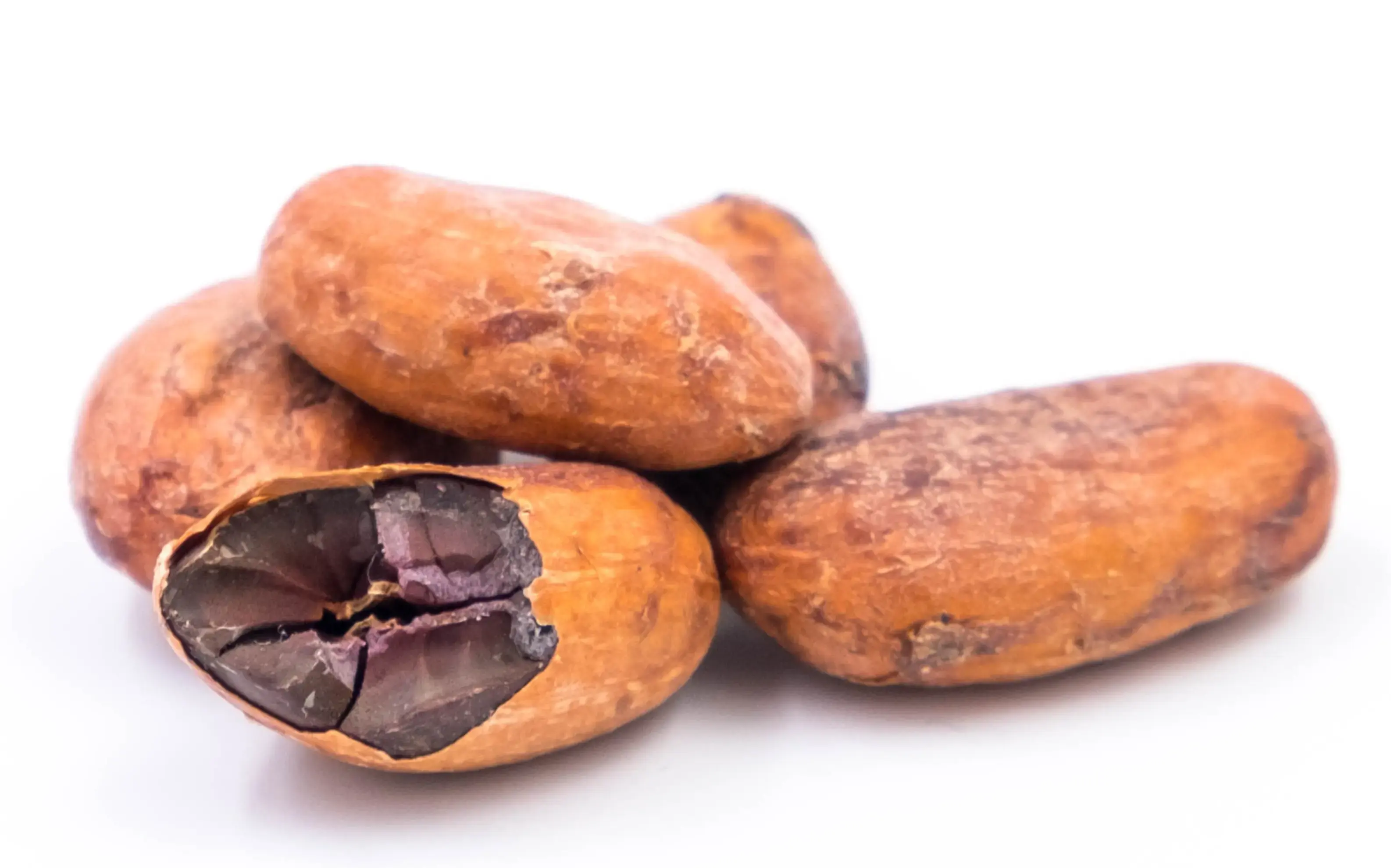 Tiphaine Corvez Chocolatière Fontenay-aux-Roses - Fontenay-aux-Roses (Hauts-de-Seine)