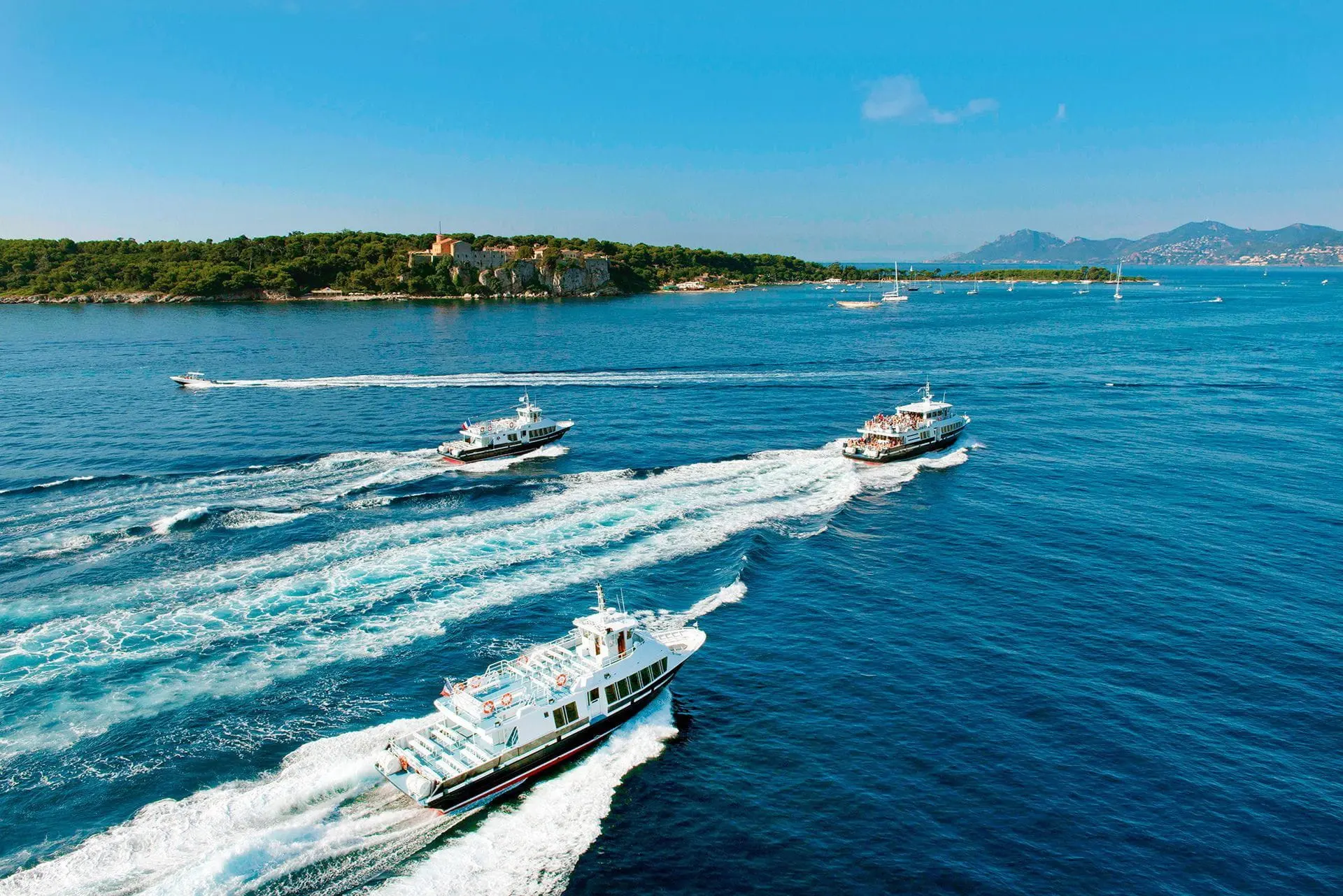 Trans Côte d'Azur - Cannes (Alpes-Maritimes)
