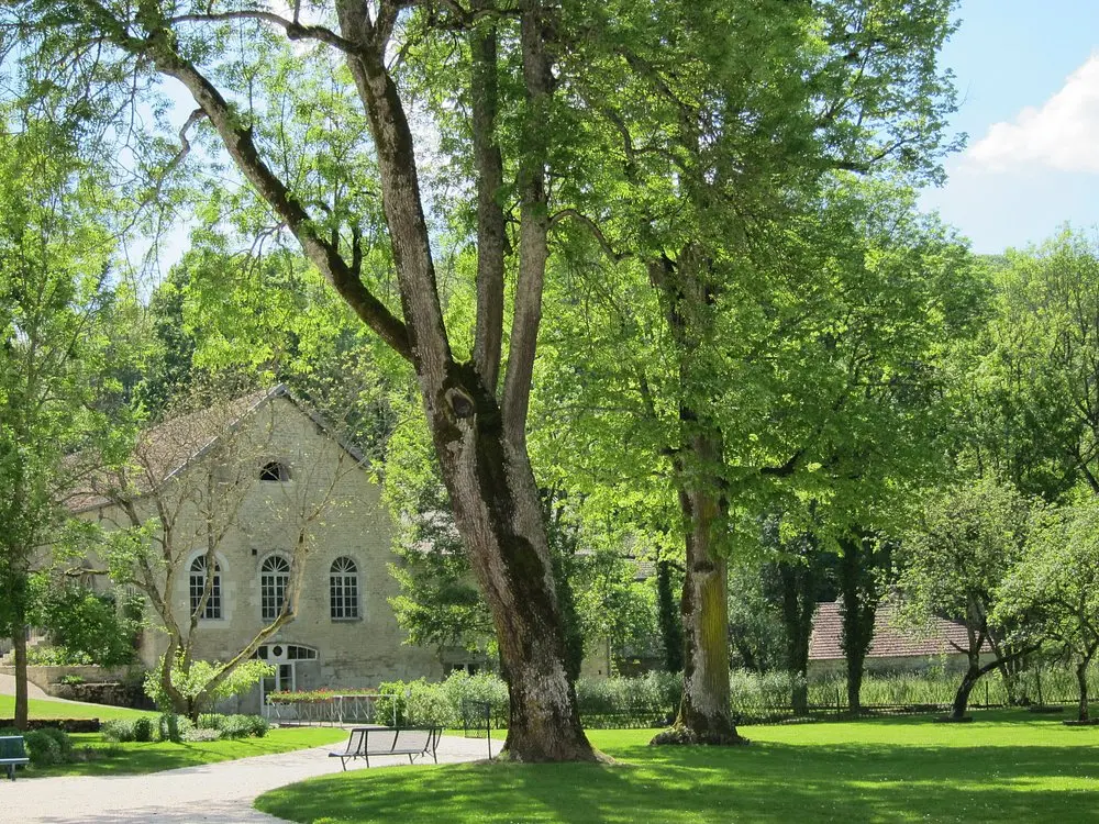 Abbaye d'Auberive - Auberive (Haute-Marne)