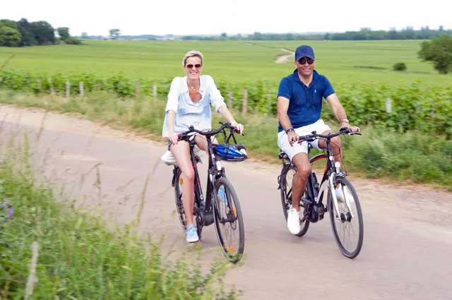 Vélo électrique - DIJON (21)