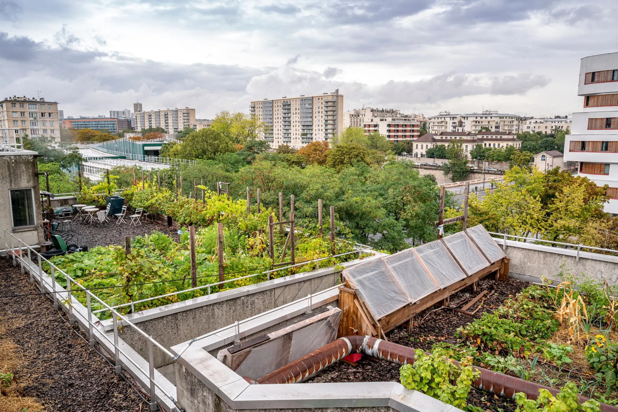 Veni Verdi - Paris (Paris)