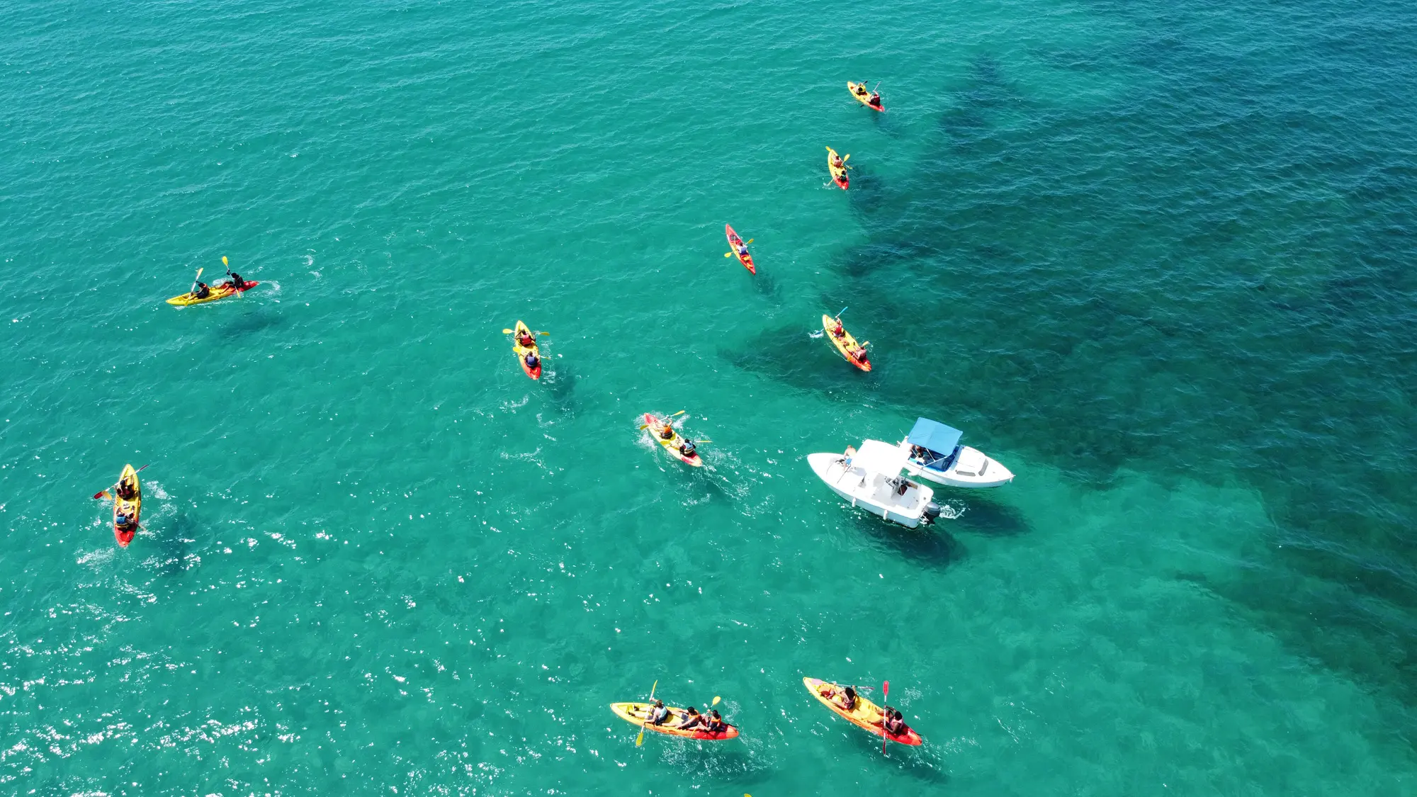 123 Kayak - Marseille (Bouches-du-Rhône)