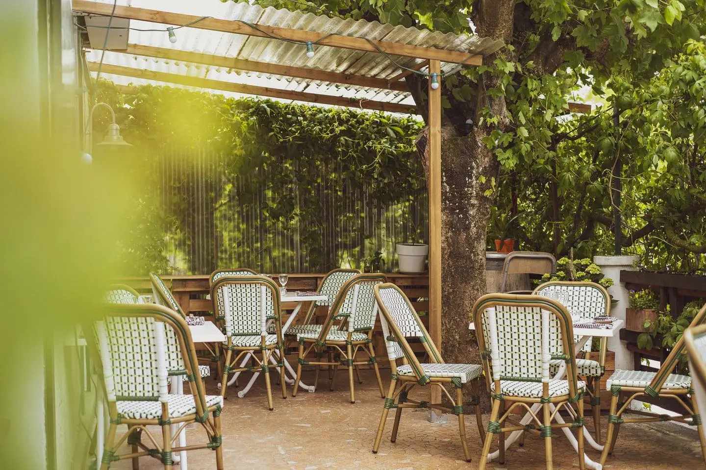 Bistro Sauvage - Annecy (Haute-Savoie)